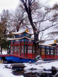 河北承德避暑山莊冰雪世界的奇妙之旅探索山莊的冬季魅力一個字美