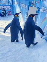 北京最好玩的冰雪公園冬日遛孩子的好去處