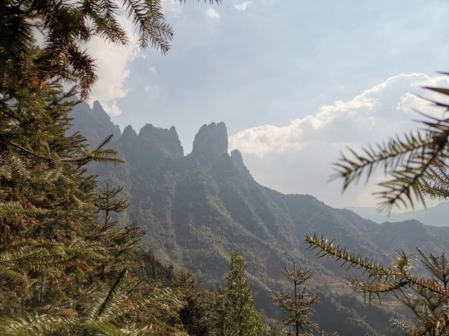 廣西來賓金秀大瑤山五指山頂