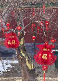 紅紅火火 春色啟龍年 景山公園 北京