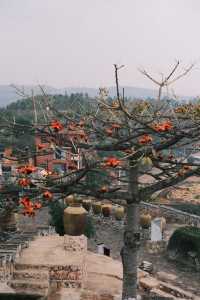 富士雨天雲南小眾旅遊攻略