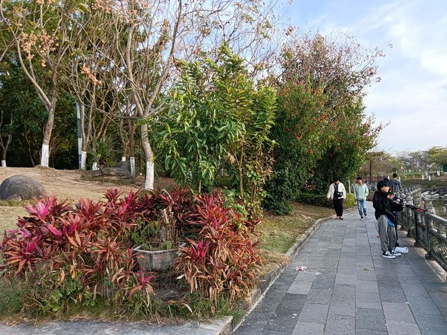 弄莫湖公園