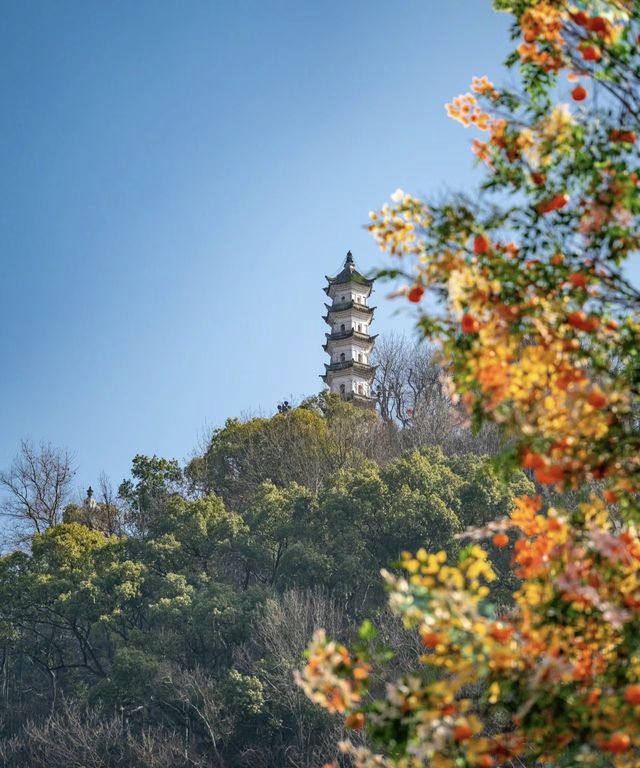 後悔才來小眾而寶藏的千年古城-台州臨海