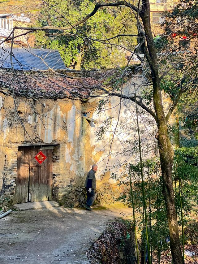 在麗水松陽｜藏在山裡的古村·楊家堂村