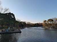 閔行體育公園