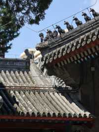 法源寺|見證中國歷史的靜謐之地