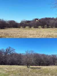 達拉斯丨獨自旅行•Arbor Hills Trail