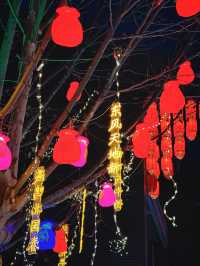 大德之州｜德州董子園步行街燈會之夜