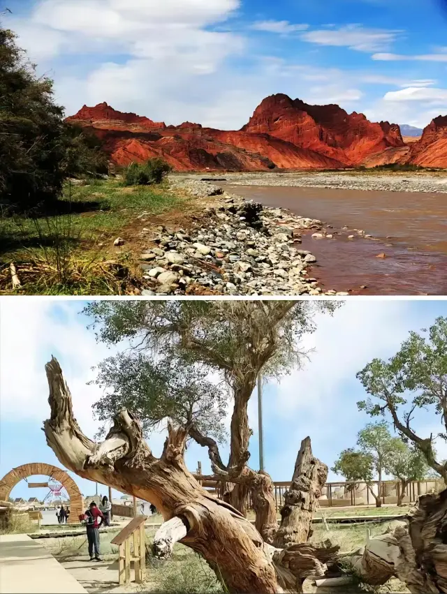 2024, 20-day grand tour of North Xinjiang