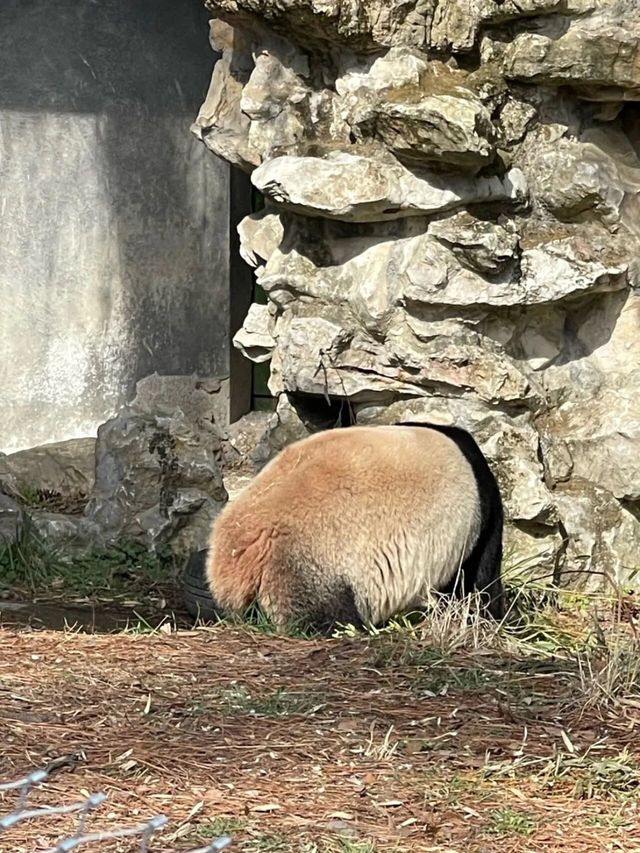 安吉旅遊攻略！兩天一夜旅行不踩雷