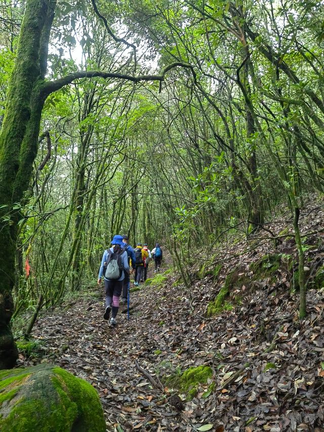 經木香坪反穿鷄足山，這是一條古老的朝聖之路