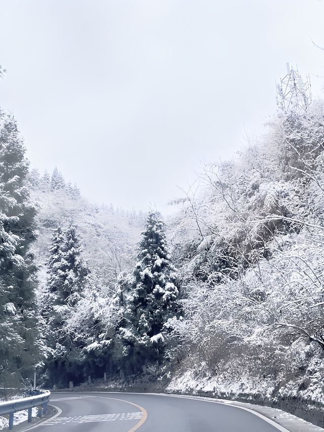 仙女山的雪景太棒了，只需要知道這8點就能快樂到飛！