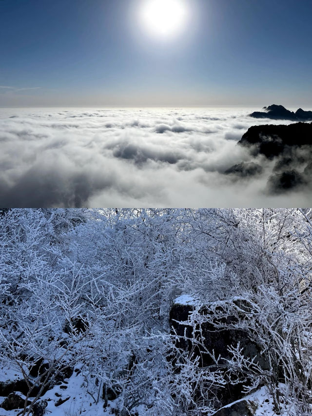 黃山雪景|23年歲末的冰雪願望