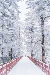 比起哈爾濱，我更喜歡這個小眾的冰雪秘境