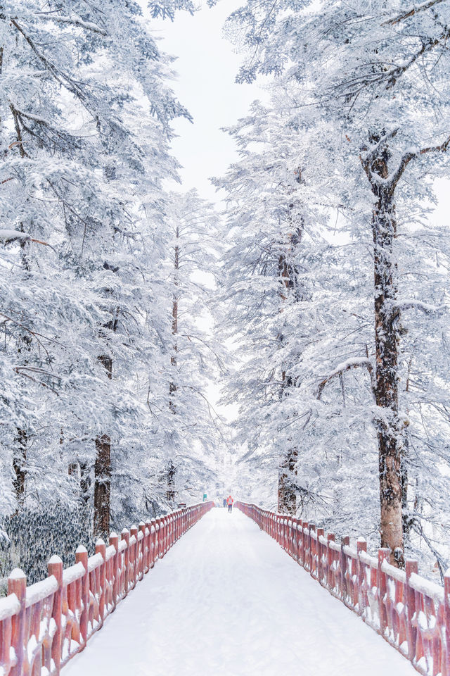 比起哈爾濱，我更喜歡這個小眾的冰雪秘境