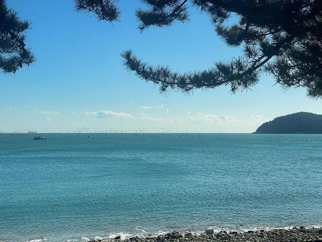 麗水|全羅南道水產科學館|石頭海灘