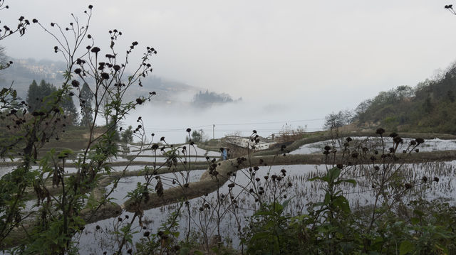 元陽梯田～～麻栗寨觀景台