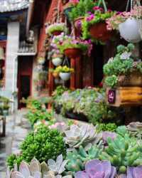 大理旅行第三天，我們又有了新的體驗～