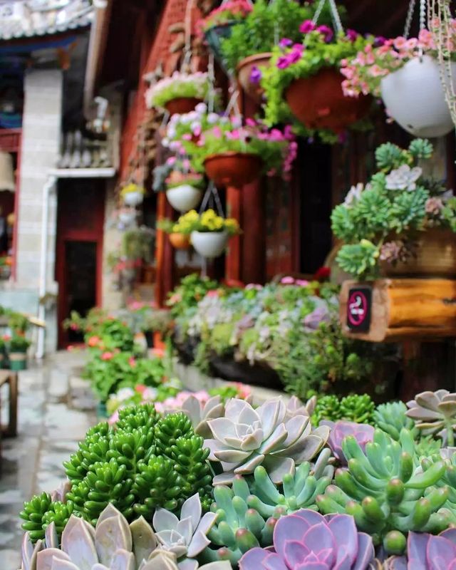 大理旅行第三天，我們又有了新的體驗～