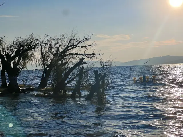 เมืองคุนหมิงแนะนำอย่างยิ่งว่าให้ไปเยือนแม่น้ำหลาวยวี่ ทิวทัศน์งดงามมาก