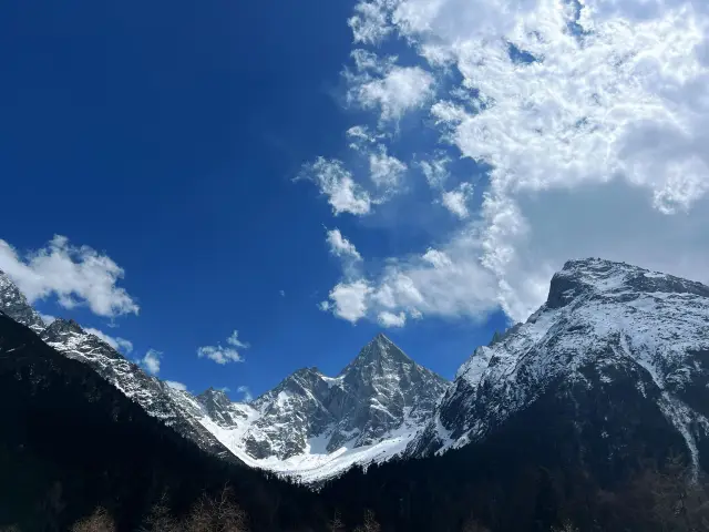 Bipenggou in March