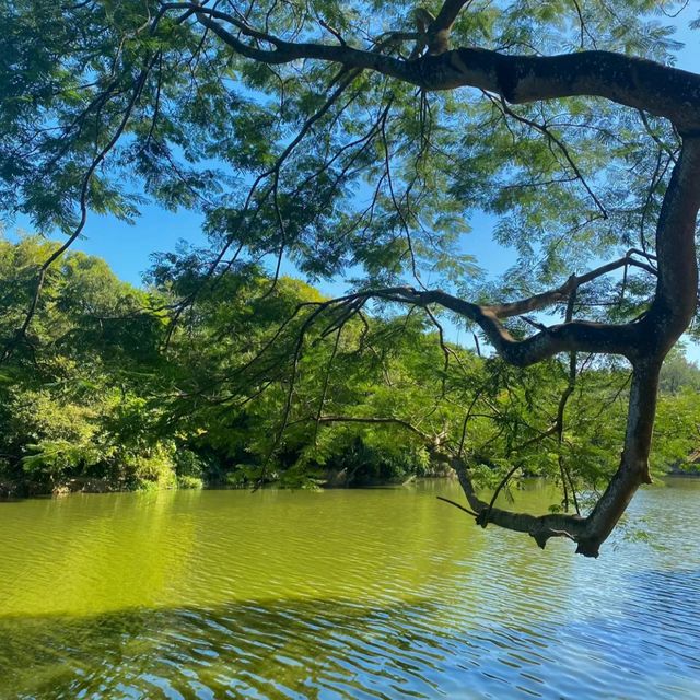 深圳東湖公園｜大自然的能量場