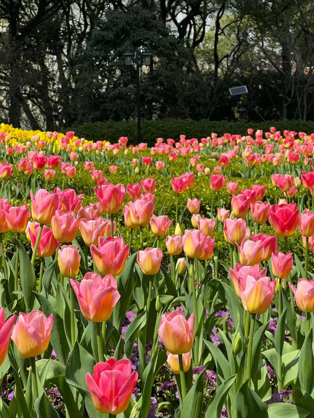 超級好玩的公園彙總榜排名