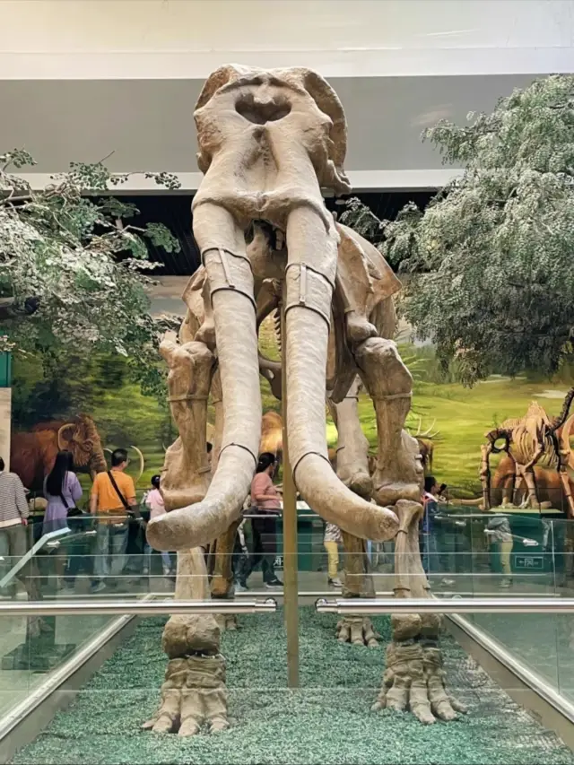 พิพิธภัณฑ์จังหวัดกานซูได้รับการยกระดับเป็นพิพิธภัณฑ์ชั้นแนวหน้าของชาติ