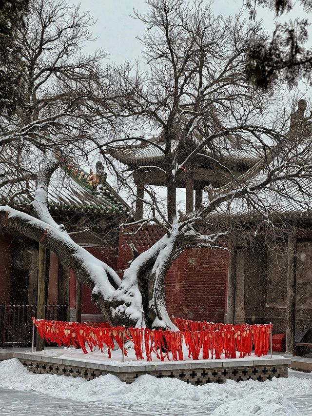 平遙之精華——盡在雙林寺（一）