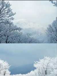 杭州冬天去龍王山看雪啦雪景霧凇真的太夢幻了