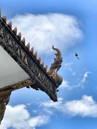 清邁｜《泰囧》電影裡尋找的布帕蘭寺，為什麼會有隻唐老鴨？