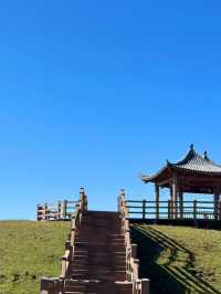 甘肅省甘南州 | 秋天的阿萬倉濕地  | 世界上最大的濕地草原