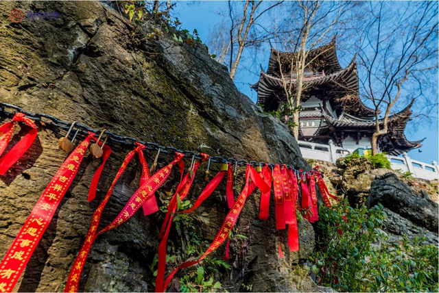 陽春三月，來夷陵遇見驚喜
