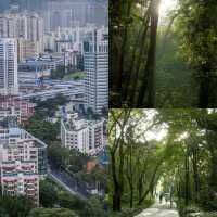 深圳筆架山公園！城市機位落日爬山攻略