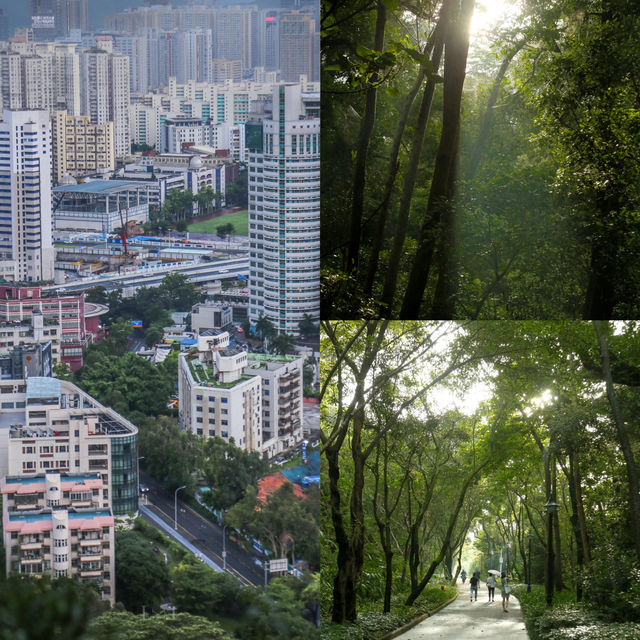 深圳筆架山公園！城市機位落日爬山攻略