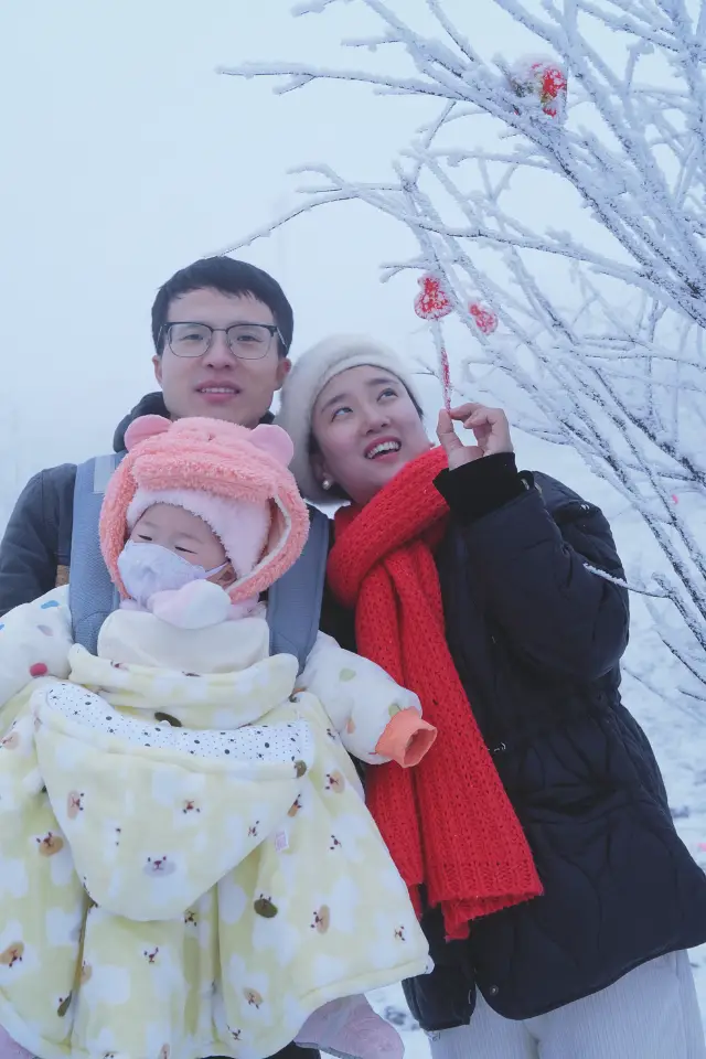 พาลูกน้อยวัย 10 เดือนไปเที่ยวภูเขาหิมะ Xiling ชมหิมะฤดูใบไม้ผลิแล้วเสียใจ