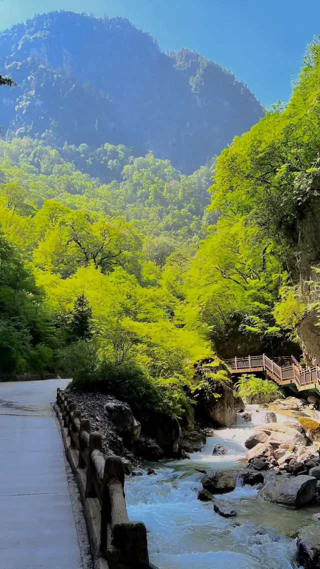 Gansu's Little Jiangnan|"Longnan's Little Jiuzhaigou" Guan'e Gully