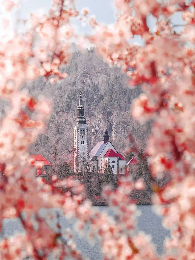 Beauty of spring 🇫🇷🇭🇺🇵🇹🇸🇮