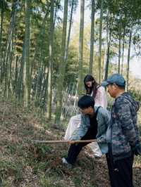 莫干山民宿|歲月問清茶,靜坐品春光