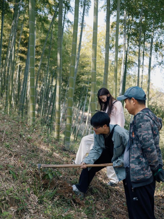 莫干山民宿|歲月問清茶,靜坐品春光 莫干山民宿|歲月問清茶,靜坐品春光