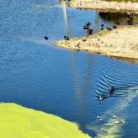 Sydney Olympic 2000 Park