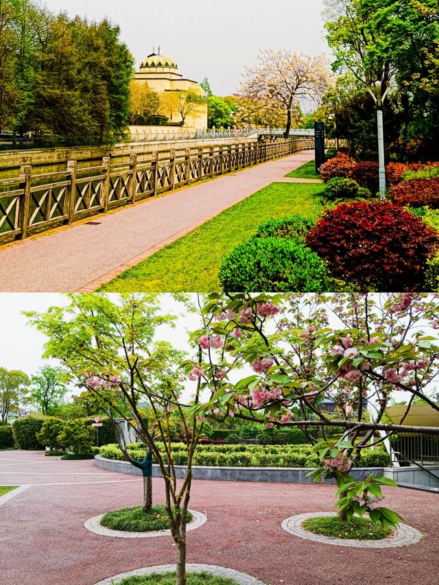 中新泾公園春景圖，春天玩點花的