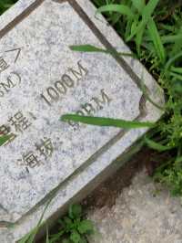 深圳大小梧桐山超詳細攻略