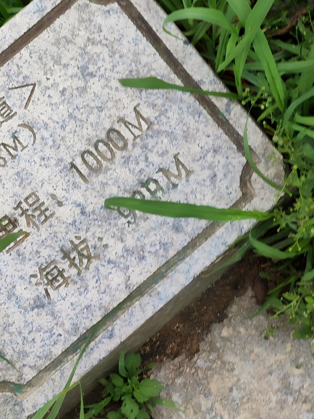深圳大小梧桐山超詳細攻略