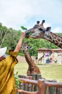 帶娃來武漢動物園熊貓啦