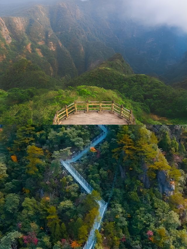 南寧大明山|逃離城市喧囂的出遊計劃 南寧大明山|逃離城市喧囂的出遊計劃