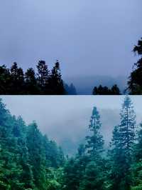 重慶仙女山