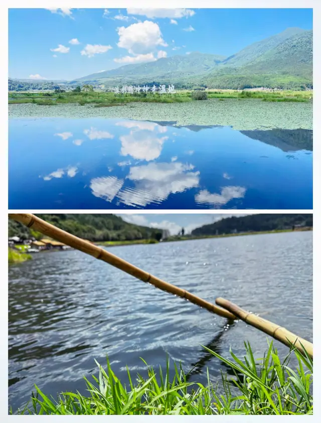 Beihai Wetland - A Mesmerizing Check-in Destination