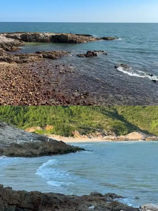 惠州趕海攻略~太快樂啦~
