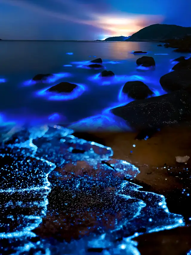 ภูเก็ต·เกาะปิงตัน|2024 สัญญาแห่งน้ำตาสีน้ำเงิน